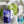 NUEOS Oral Care Subscription